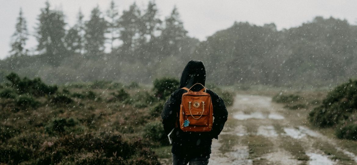 Foto von Annie Spratt auf Unsplash